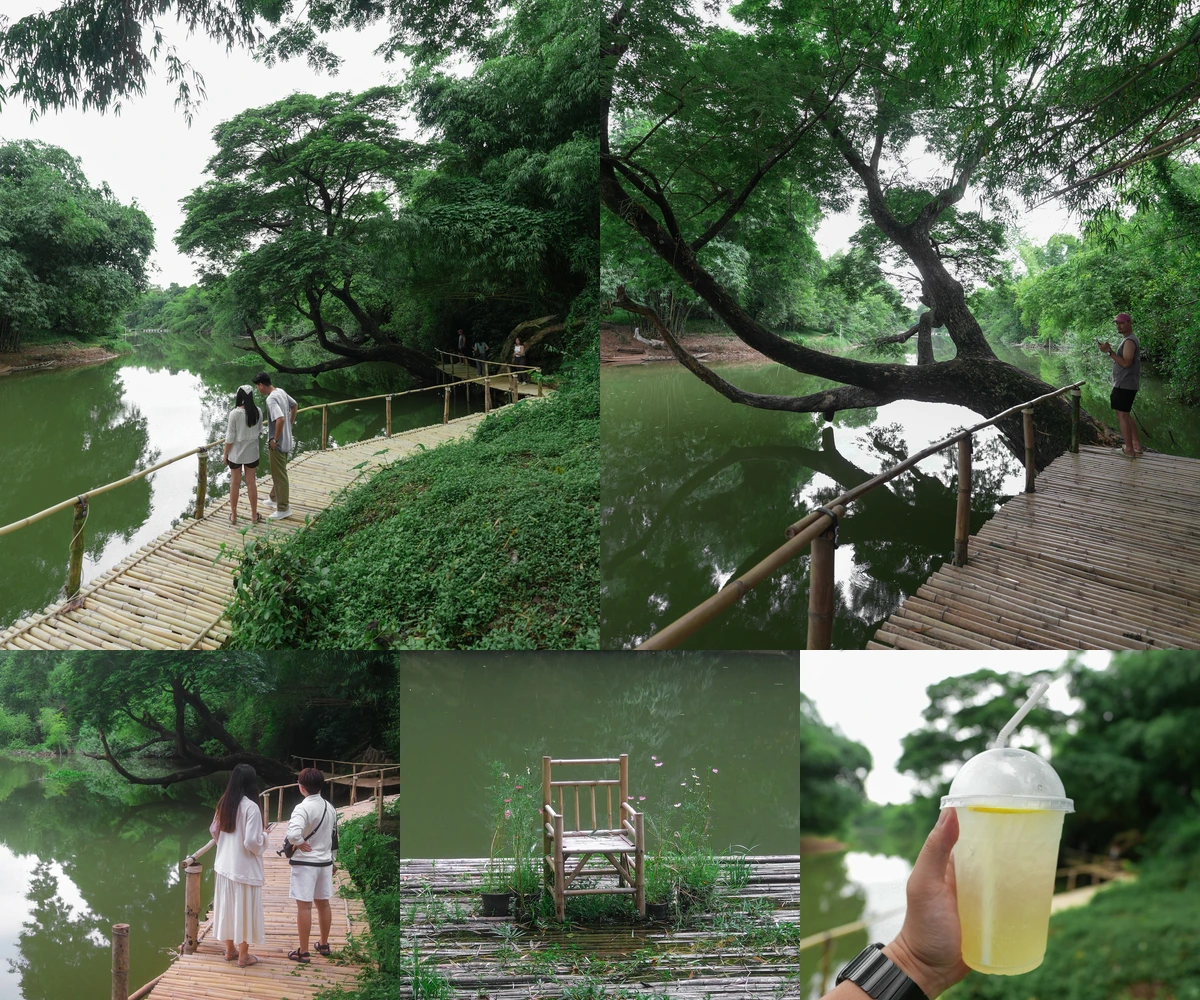 ภาพรีวิว วังดอกไม้ คาเฟ่ — คาเฟ่ริมน้ำกับทางเดินไม้ไผ่ใต้ต้นไม้ใหญ่