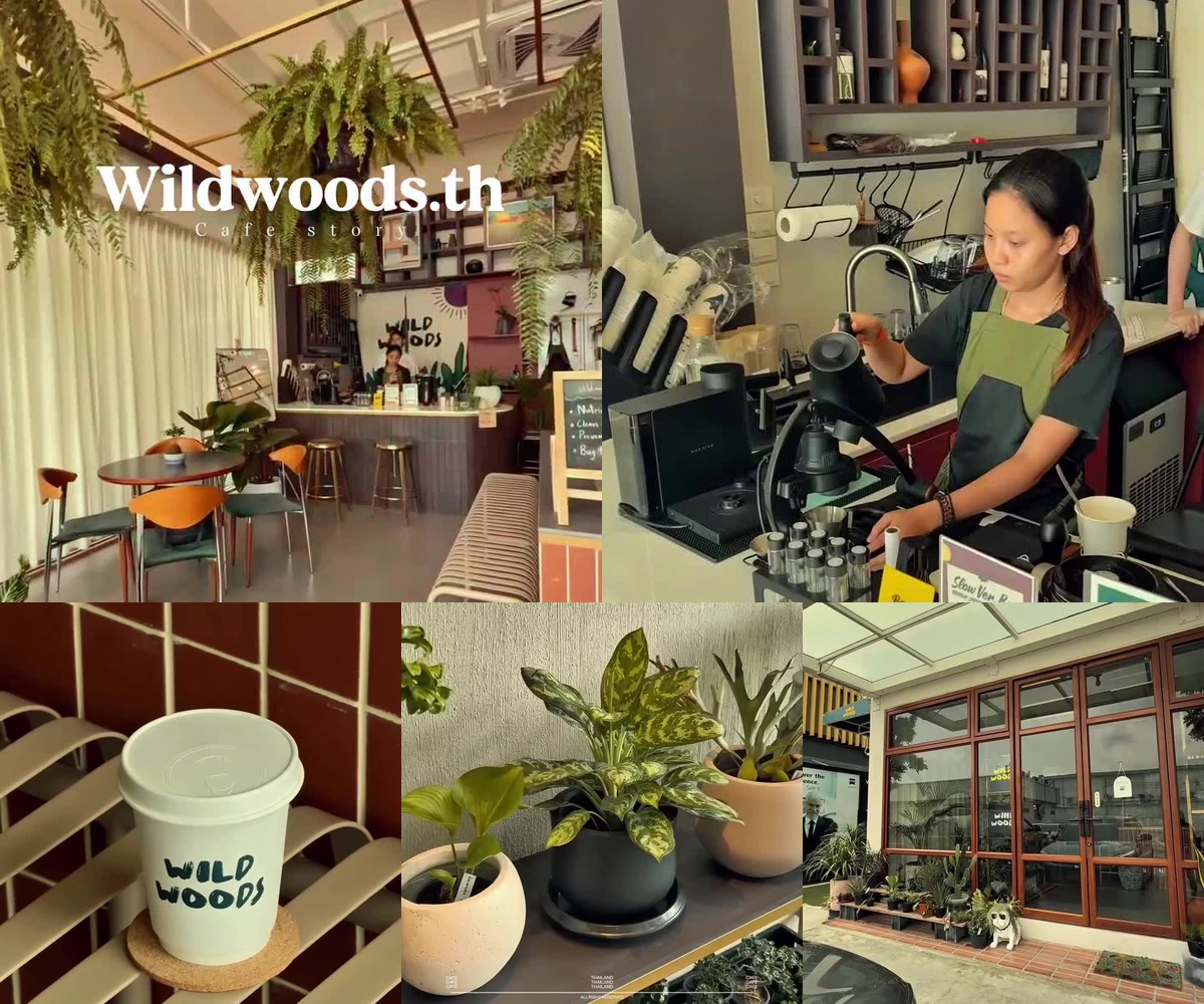 ภาพรีวิว Wildwoods.th • ราชพฤกษ์ — ร้านต้นไม้และกาแฟในโครงการอยู่เย็นการ์เด้น