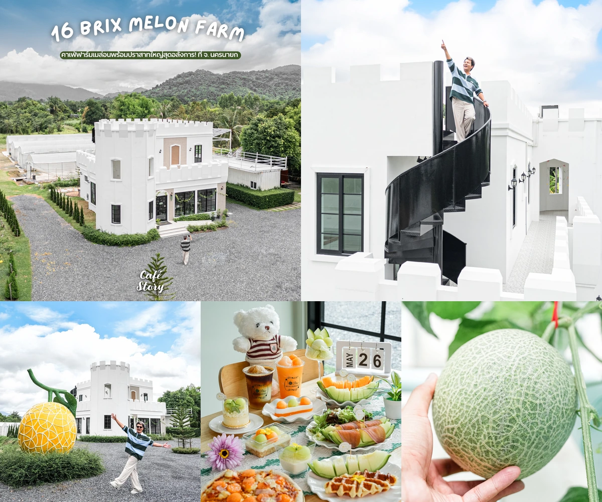 ภาพรีวิว 16 Brix Melon Farm & Cafe — คาเฟ่ฟาร์มเมล่อนในปราสาทสีขาวกลางทิวเขา