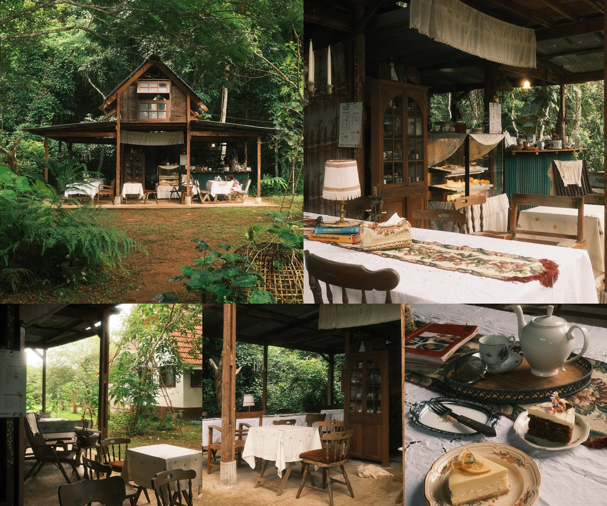 ภาพรีวิว บ้านสมาธิ — โฮมคาเฟ่กลางต้นไม้กับเค้กโฮมเมดและชาข้าว