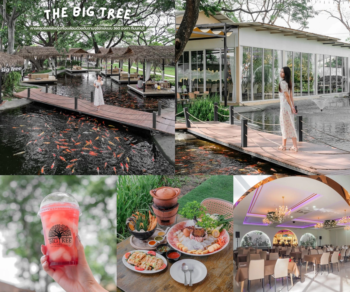 ภาพรีวิว The Big Tree • ท่าอิฐ — คาเฟ่และร้านอาหารใต้จามจุรี พร้อมพื้นที่ริมน้ำและห้องจัดเลี้ยง