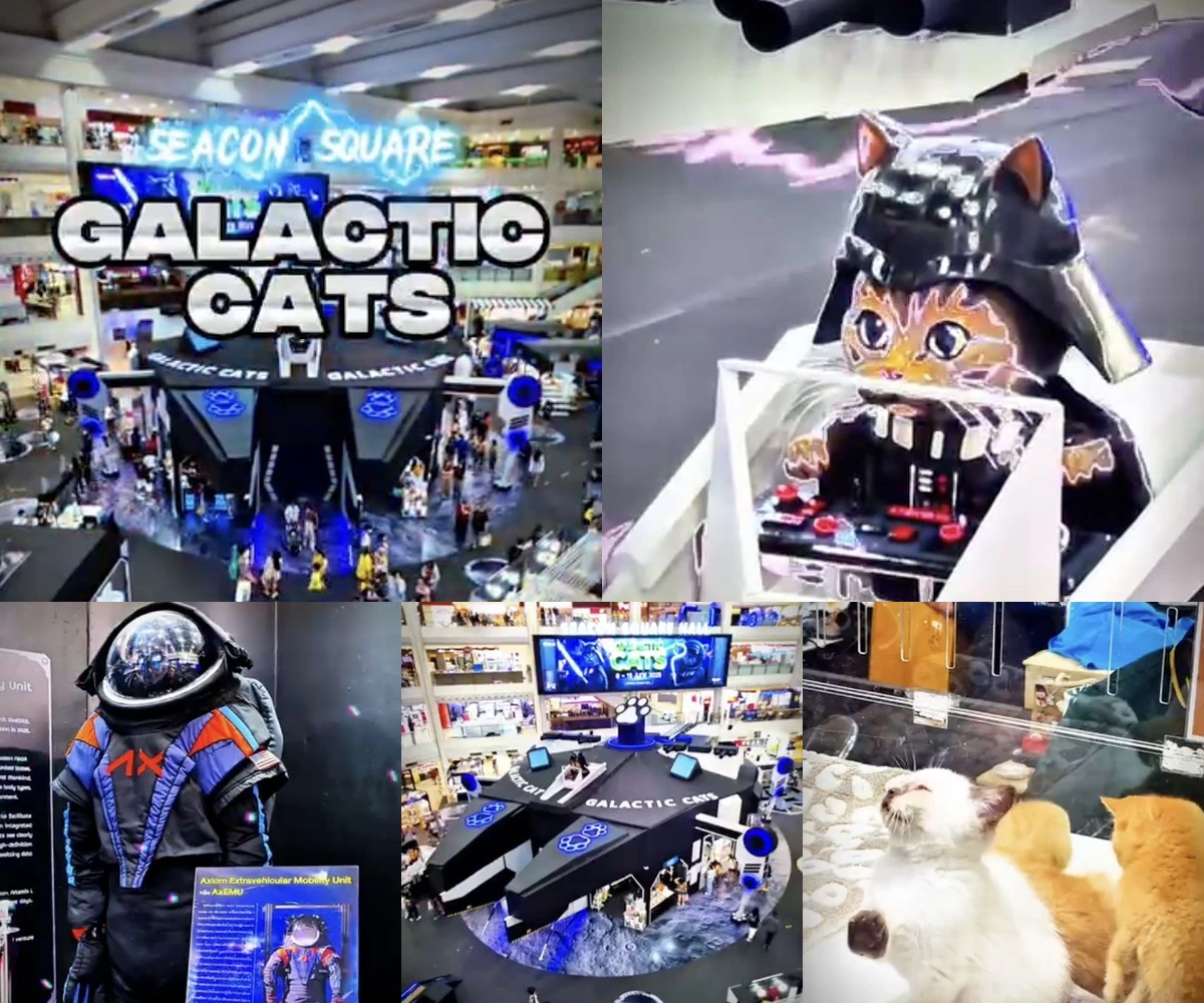 ภาพรีวิว Galactic Cats • ซีคอนสแควร์ — งานแมวธีมอวกาศพร้อมนิทรรศการและกิจกรรมสำหรับคนรักแมว