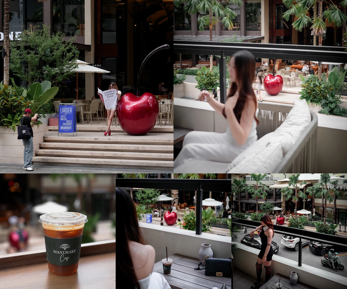ภาพรีวิว Mandrake Cafe — คาเฟ่บนชั้นสองกับวิวถนนสุขุมวิท 24