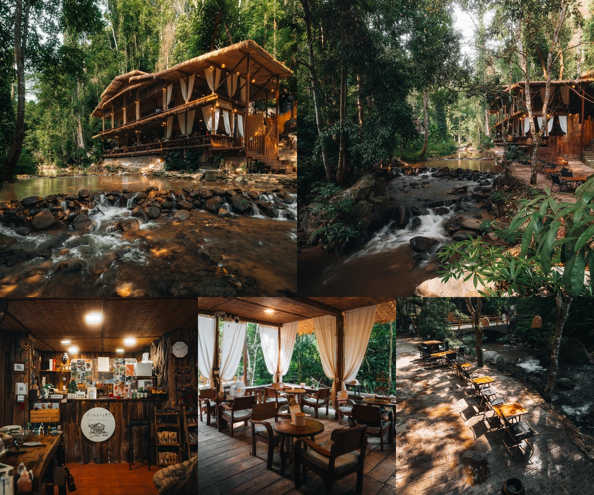 ภาพรีวิว บ้านธารชีวี • แม่แมะ — คาเฟ่ในบ้านไม้ริมธารท่ามกลางป่าเชียงดาว