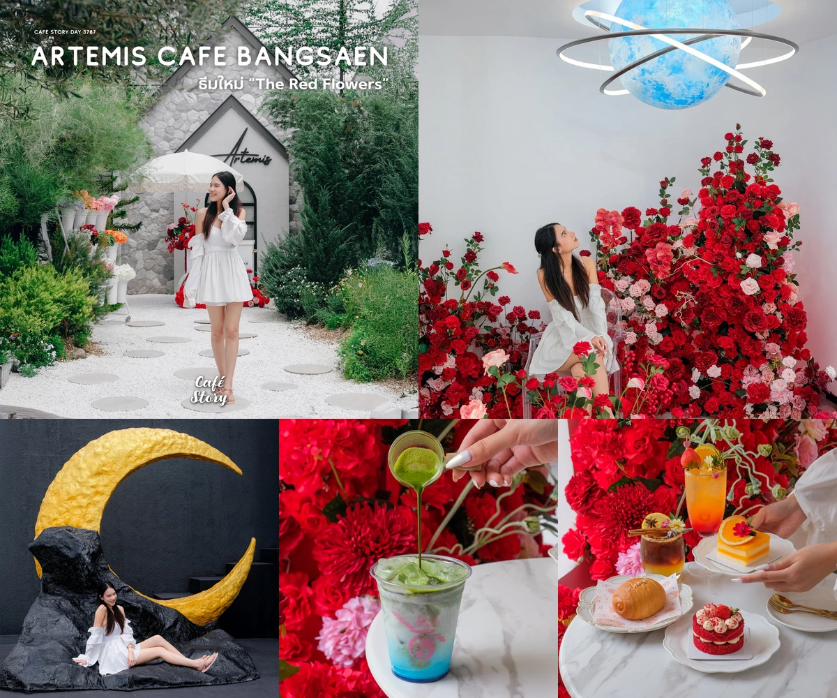 ภาพรีวิว Artemis Cafe Bangsaen • The Red Flowers — คาเฟ่บางแสนกับพื้นที่ดอกไม้สีแดง