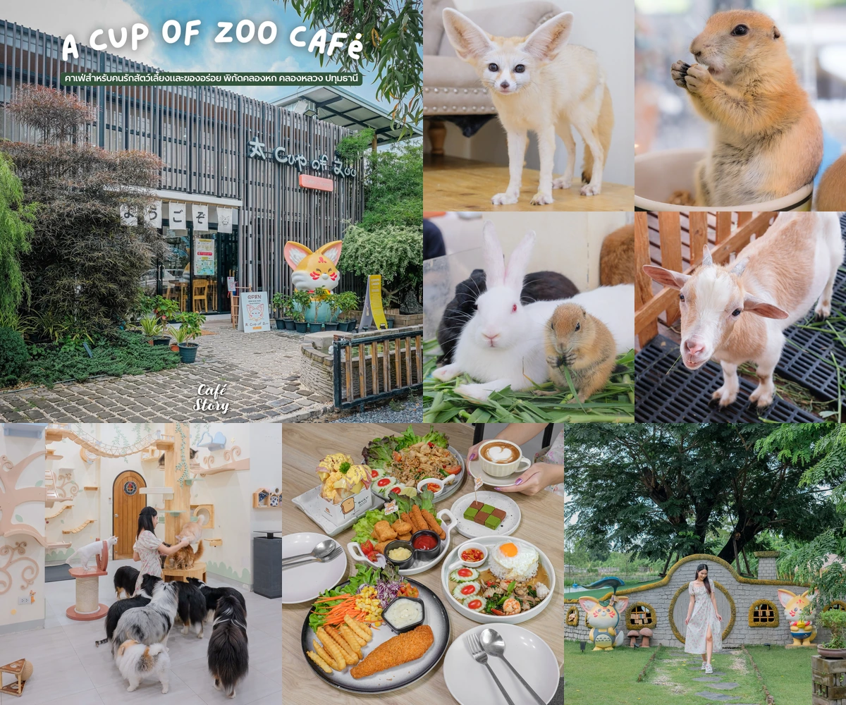 ภาพรีวิว A Cup of Zoo Café • คลองหก — คาเฟ่และพื้นที่เรียนรู้เรื่องสัตว์ในคลองหก