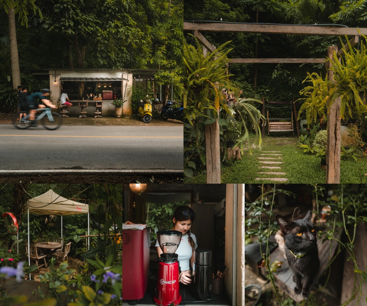 ภาพรีวิว กาแฟดอยกอม — ร้านกาแฟเล็กริมถนนหลังวัดดอยคำท่ามกลางต้นไม้