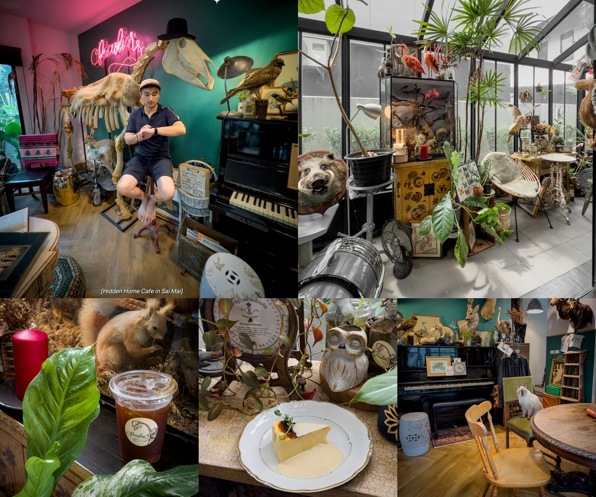 ภาพรีวิว Peculiar Hidden Home Cafe — โฮมคาเฟ่ย่านวัชรพลกับของสะสมธรรมชาติวิทยา