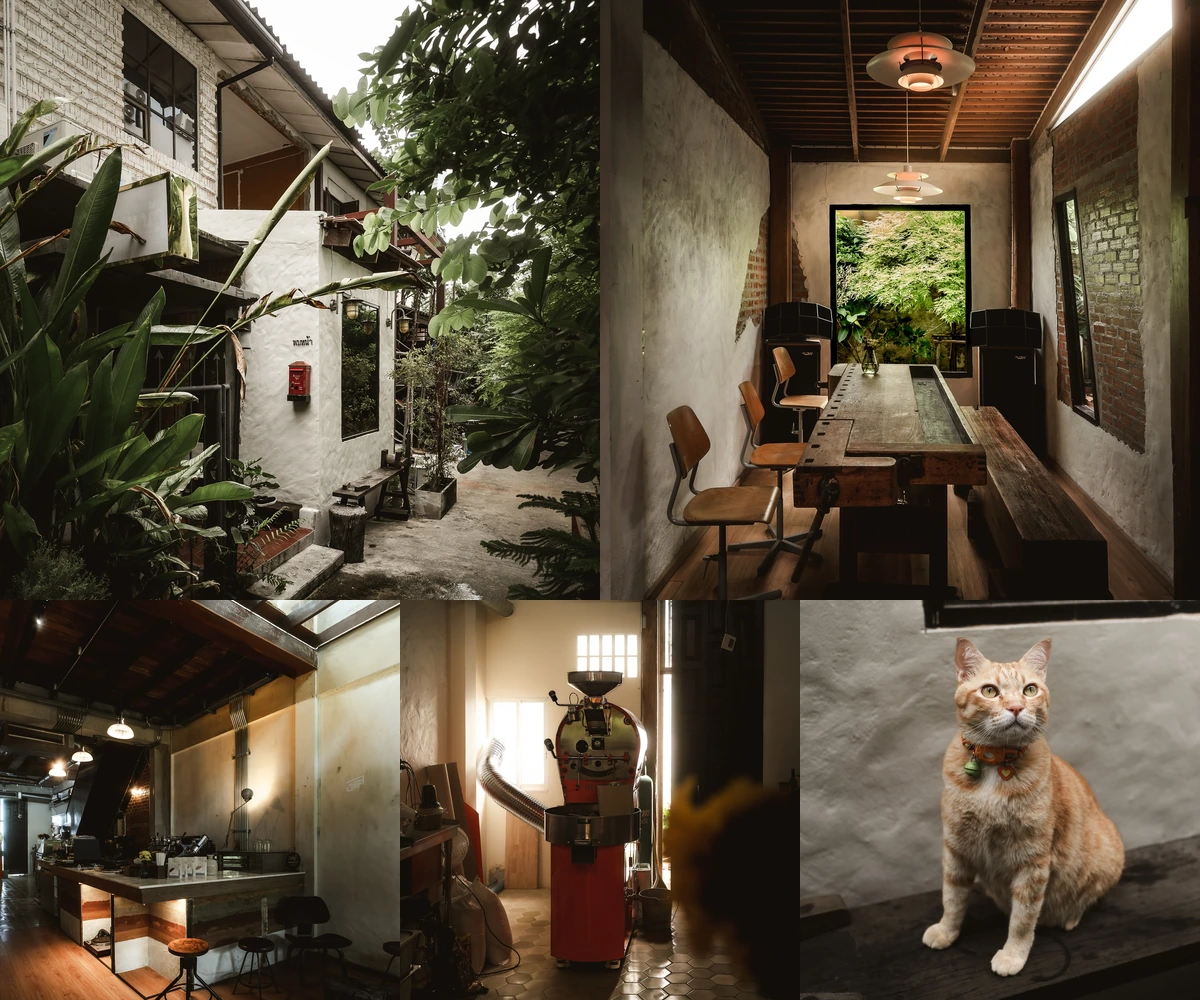 ภาพรีวิว พบหน้า • คอนแวนต์ — คาเฟ่บรรยากาศบ้านในตรอกเล็กย่านสีลม