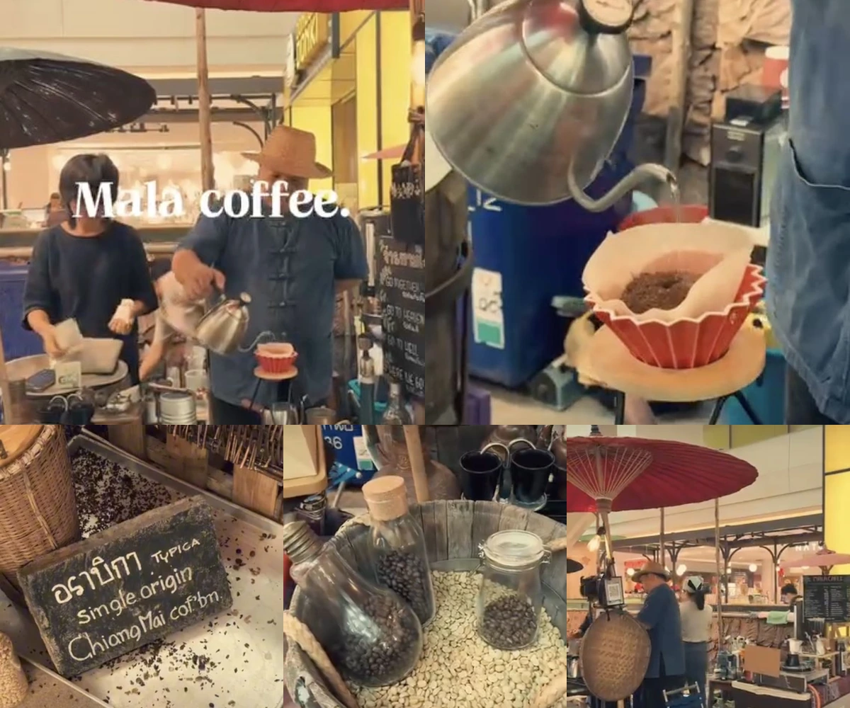 ภาพรีวิว ป้อเลี้ยงมาลา • แอ่วตลาดกาดมั่ว — กาแฟจากแม่วางในงานแอ่วตลาดกาดมั่ว