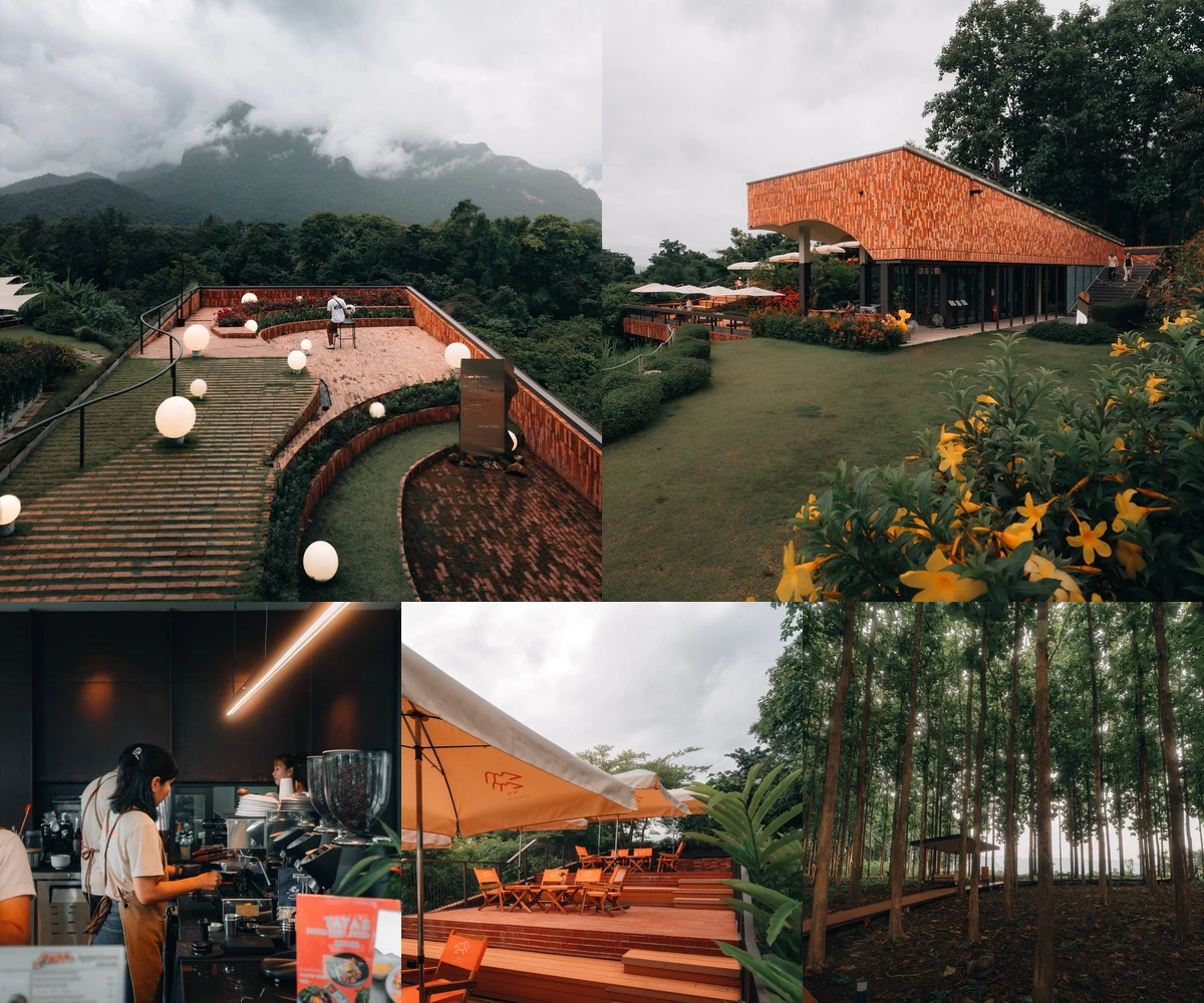 ภาพรีวิว TATA Chiang Dao — คาเฟ่วิวดอยหลวงและระเบียงกลางแจ้งในเชียงดาว