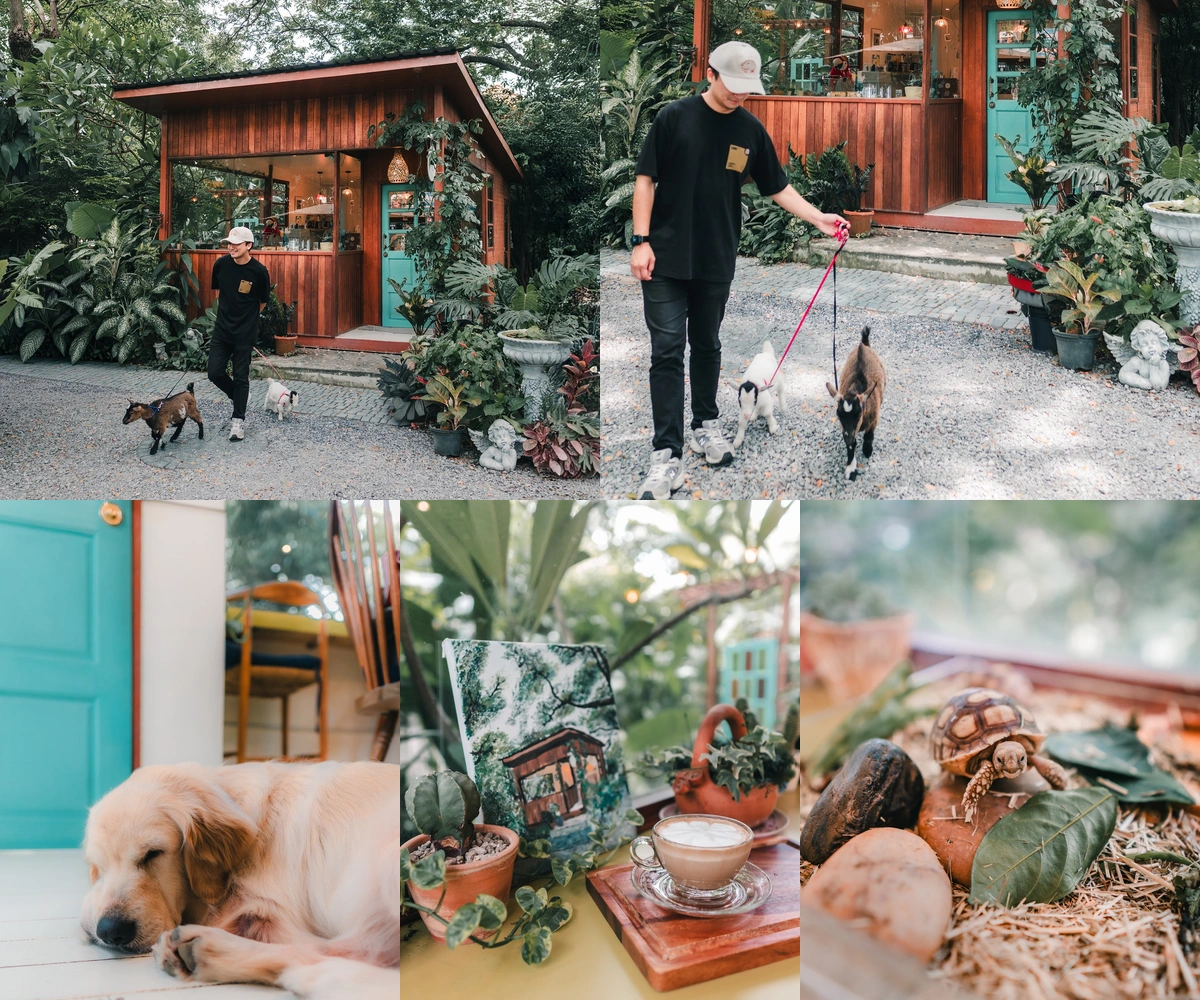 ภาพรีวิว Cafe Delphi — คาเฟ่บ้านไม้ในสวนบนถนนสามัคคี
