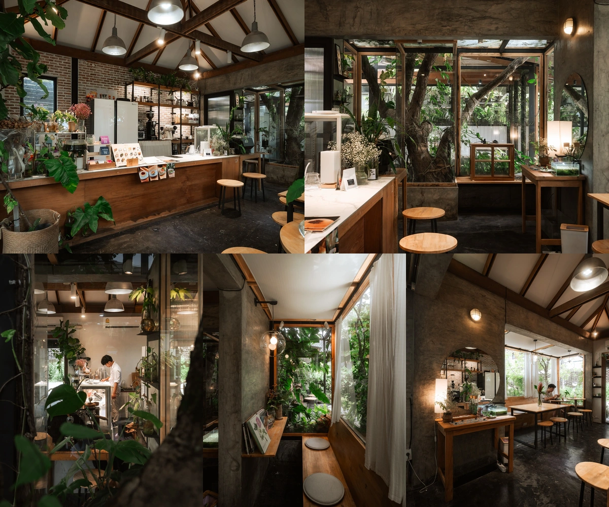 ภาพรีวิว Onuma Green Rabb — คาเฟ่ร่มรื่นหลังวัดสวนดอก