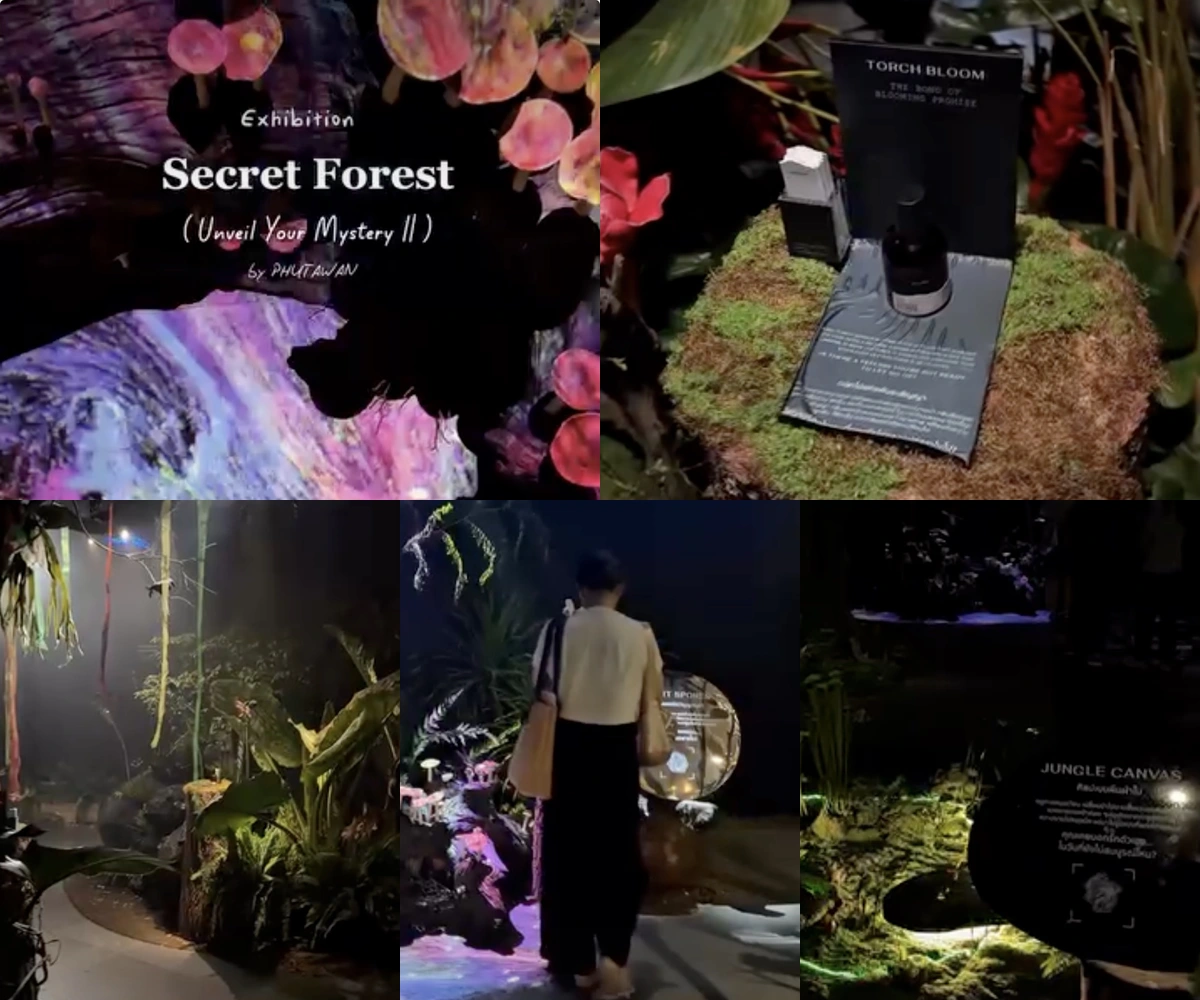 ภาพรีวิว Secret Forest • Unveil Your Mystery II