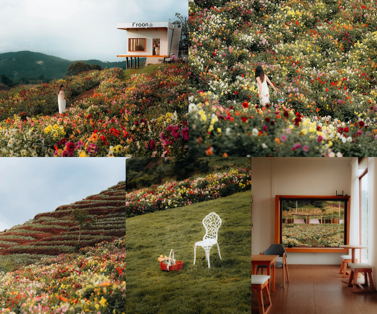 ภาพรีวิว อรุณ คาเฟ่ แอนด์แคมป์ปิ้ง — คาเฟ่ สวนดาเลียและโซนเต็นท์พักแรมบนม่อนแจ่ม