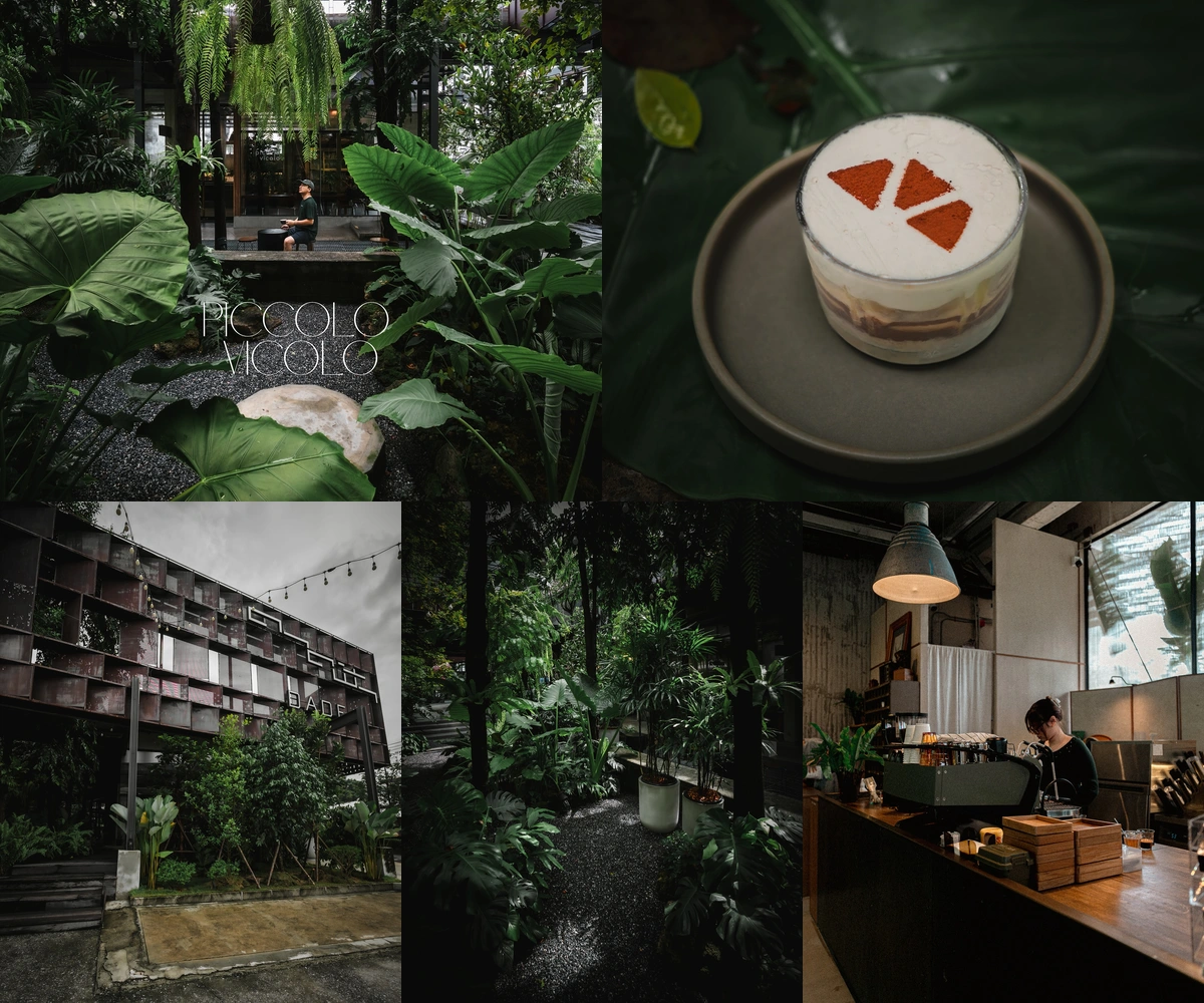 ภาพรีวิว Piccolo Vicolo Café • ลาซาล — คาเฟ่ในอาคารเก่าท่ามกลางสวนของดาดฟ้า ลาซาล