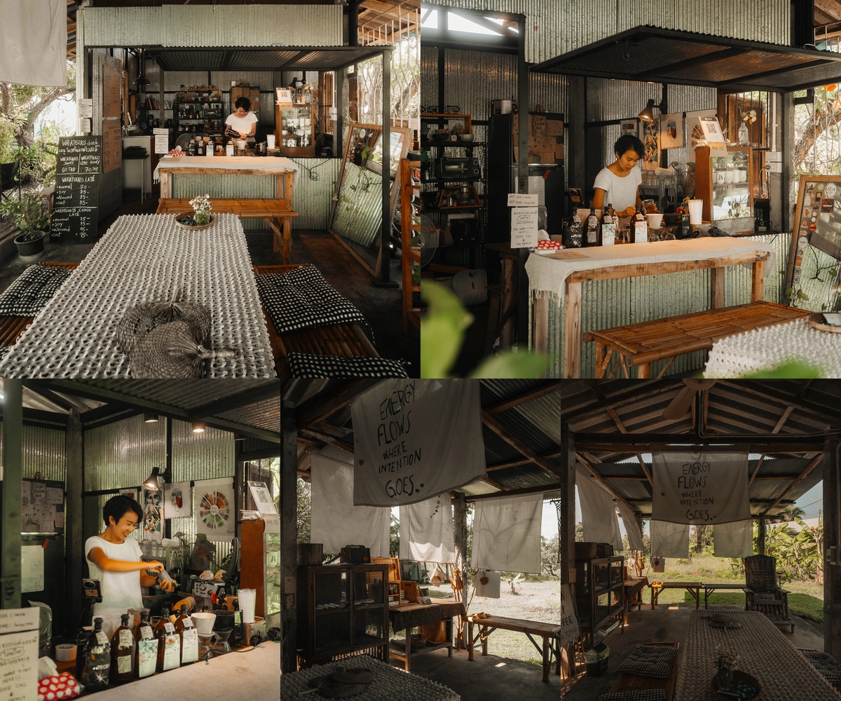 ภาพรีวิว Slow Drip Coffee • สันป่าตอง — คาเฟ่และโรงคั่วเล็ก ๆ ในสวนลำไยบ้านแม