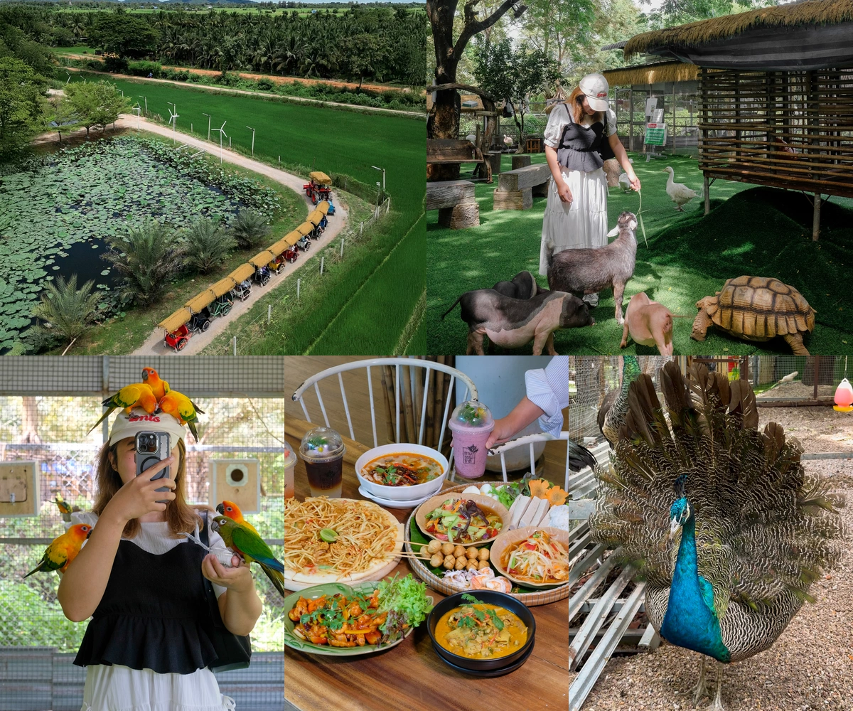 ภาพรีวิว ตามธรรมชาติ Cafe’ and Farm — คาเฟ่และร้านอาหารพร้อมฟาร์มสัตว์และกิจกรรมสำหรับครอบครัว