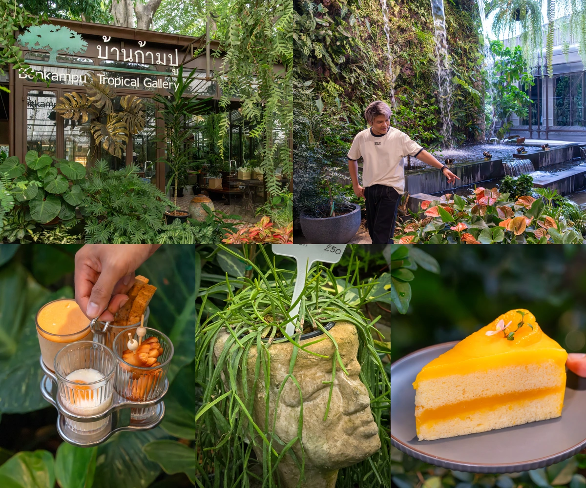 ภาพรีวิว บ้านก้ามปู Tropical Gallery & Café — คาเฟ่สวนน้ำตกและแกลเลอรีต้นไม้ย่านเกษตร–นวมินทร์