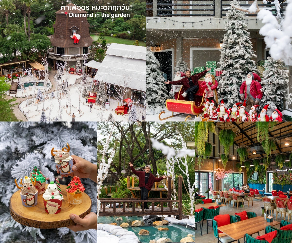 ภาพรีวิว Diamond in the Garden • คริสต์มาส 2025