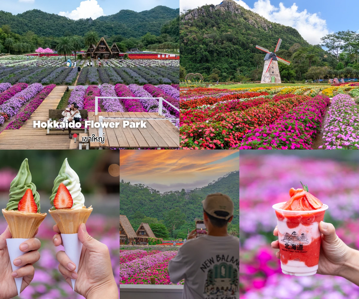 ภาพรีวิว Hokkaido Flower Park Khaoyai — สวนดอกไม้และคาเฟ่ท่ามกลางแนวเขา