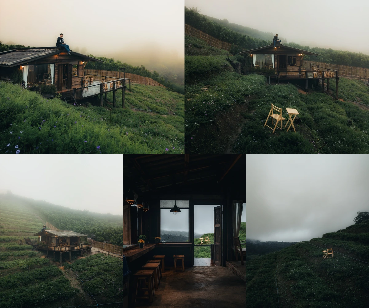ภาพรีวิว จุดเริ่มต้น • สวนดอกไม้ — คาเฟ่กระท่อมไม้กับสวนดอกไม้กลางหุบเขา