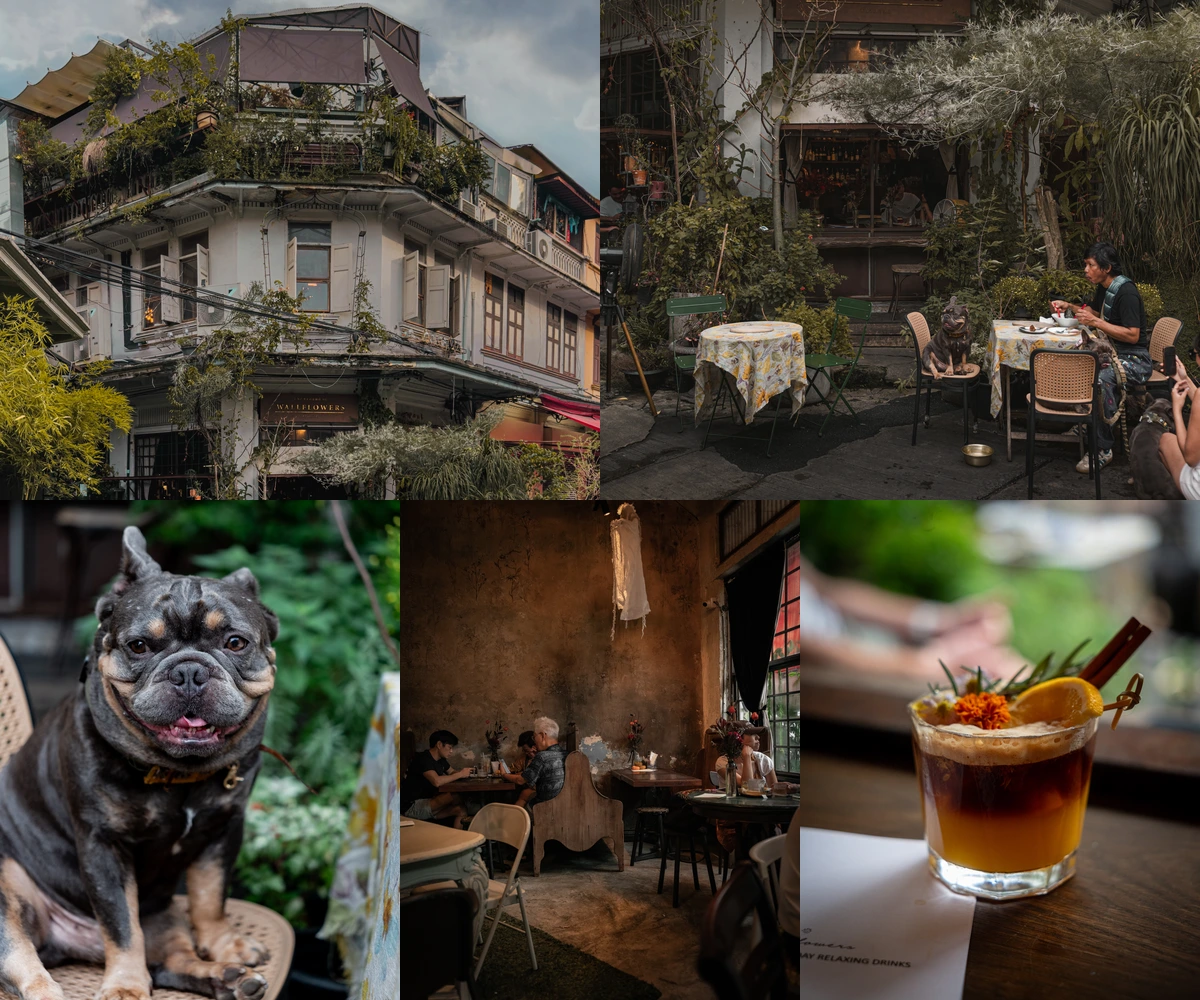 ภาพรีวิว Wallflowers Café — คาเฟ่และบาร์ในอาคารเก่าย่านซอยนานา