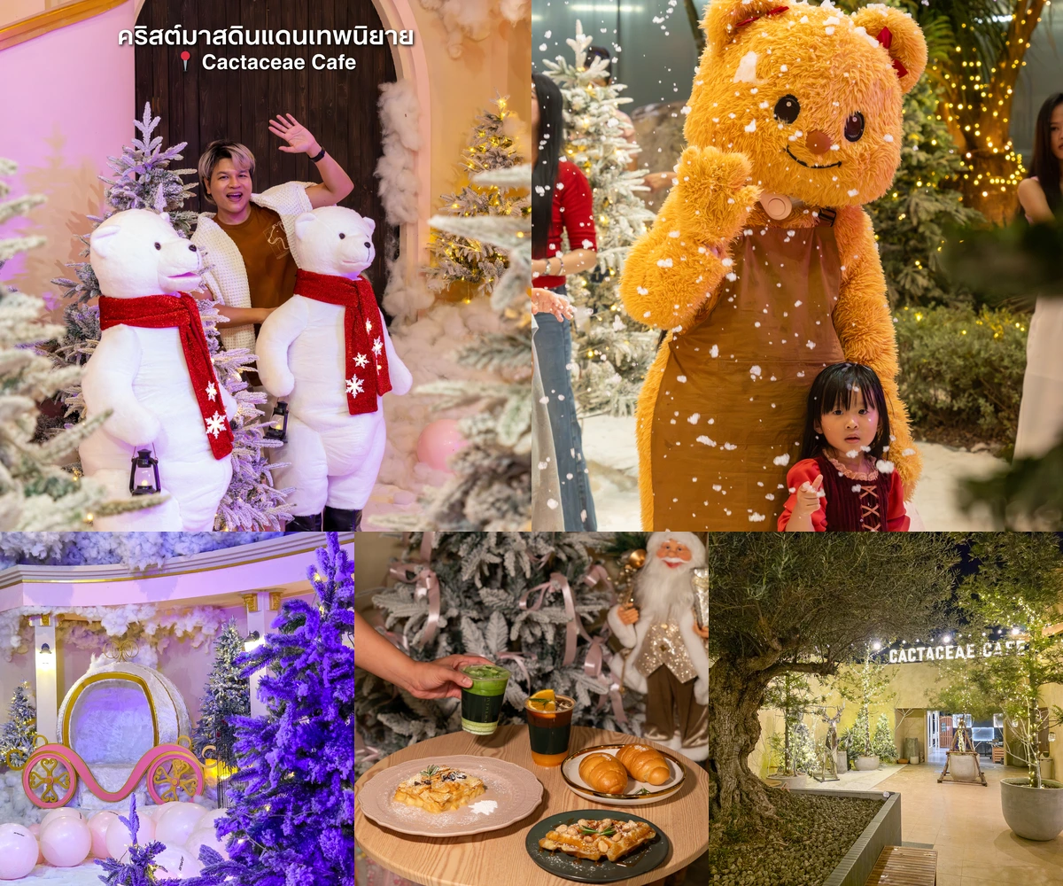 ภาพรีวิว Cactaceae Cafe • Christmas Fairyland — คาเฟ่แคคตัสกับลานหิมะเทพนิยาย
