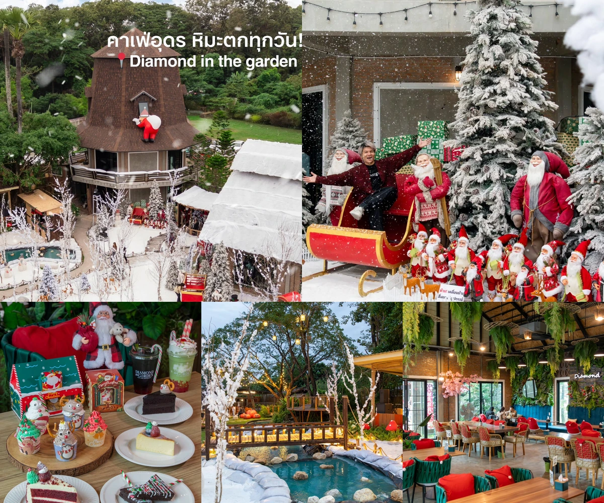 Diamond in the Garden • คริสต์มาส 2025