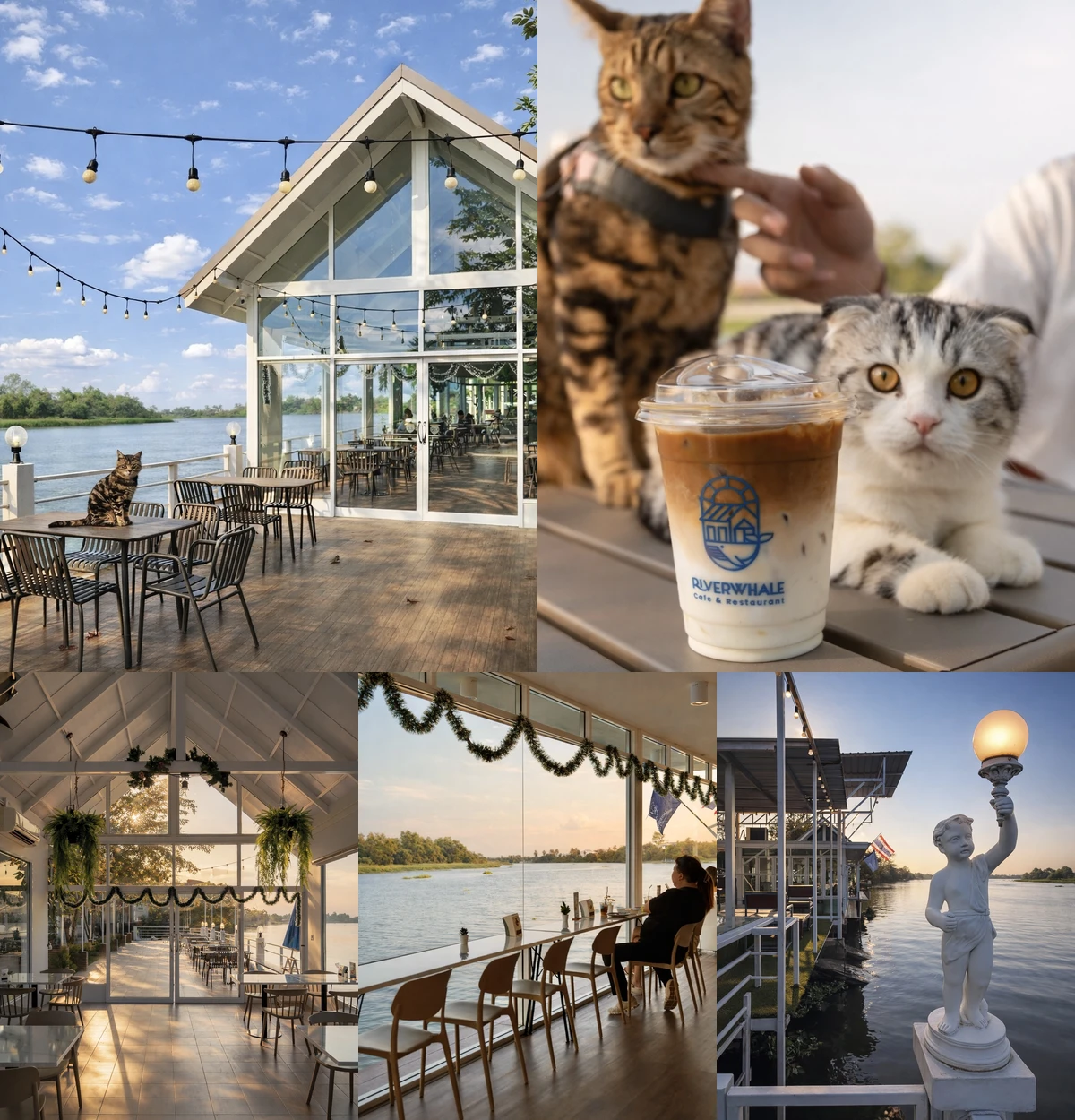 ภาพรีวิว RIVERWHALE CAFE — คาเฟ่ริมน้ำในกระทุ่มแบน