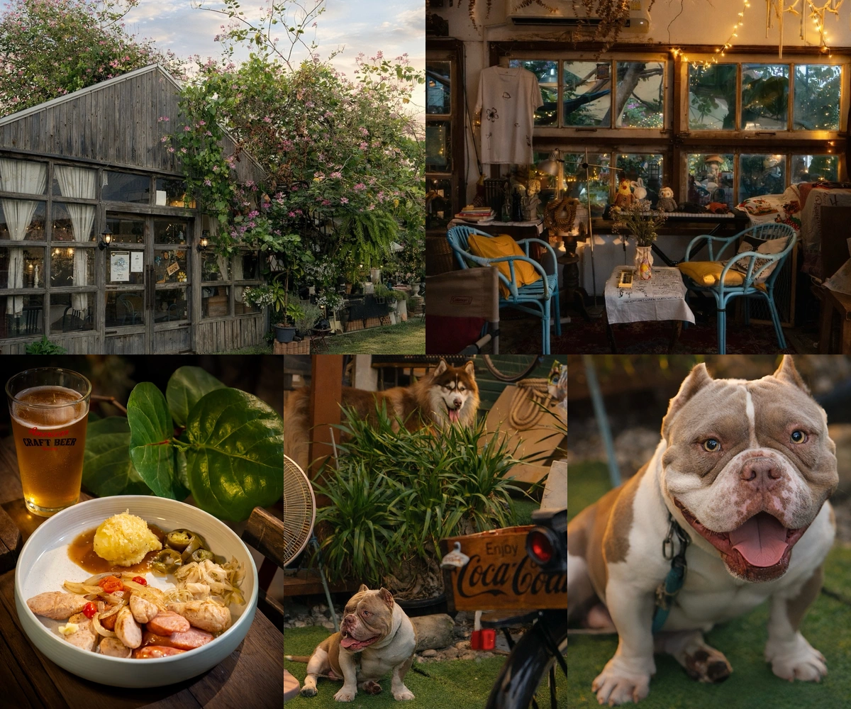 ภาพรีวิว At Yard Bar — บาร์ในสวนย่านเทพรักษ์