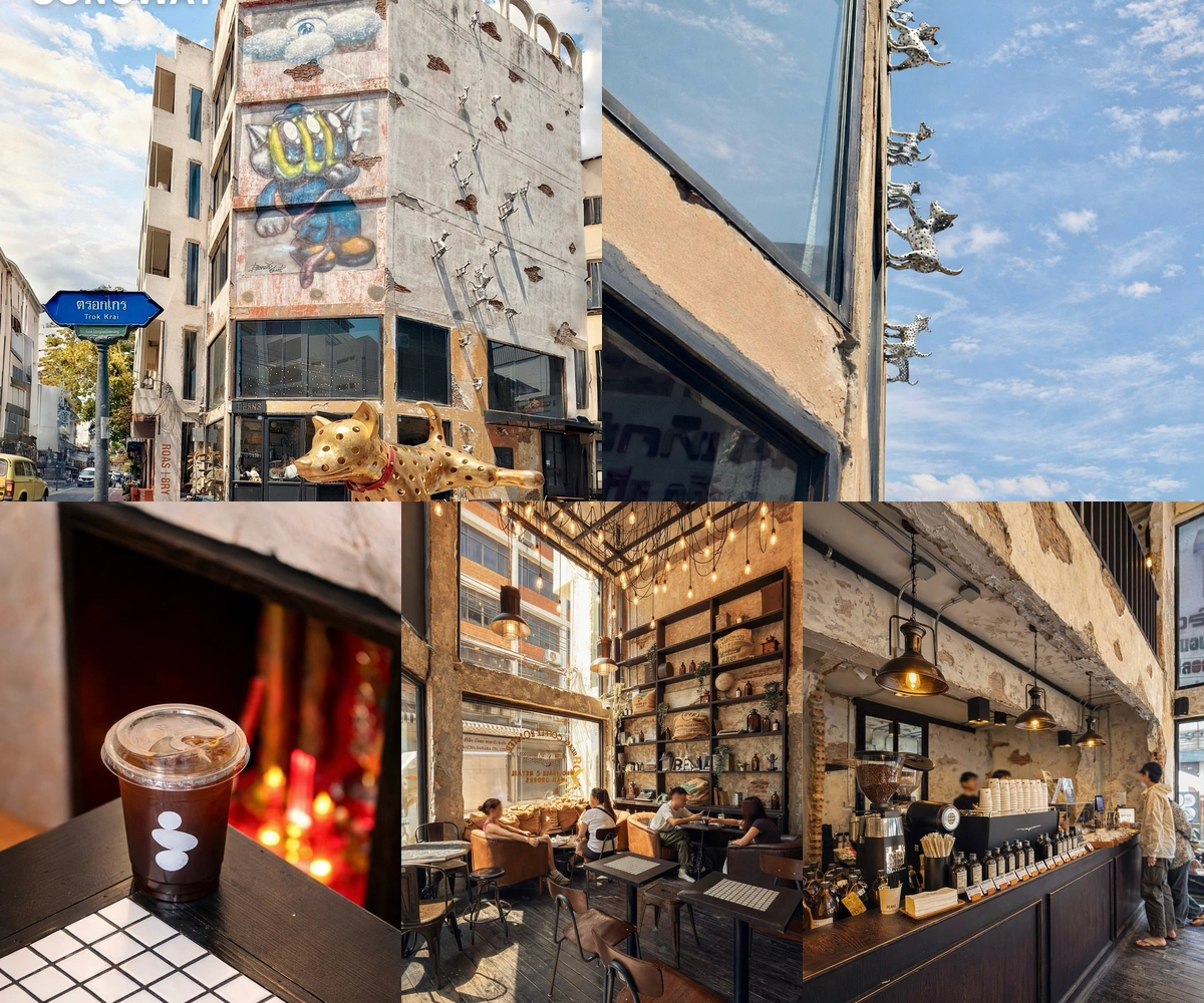 ภาพรีวิว BEANS Coffee Roaster • WanderDOG — คาเฟ่และนิทรรศการไอ้จุดในทรงวาด