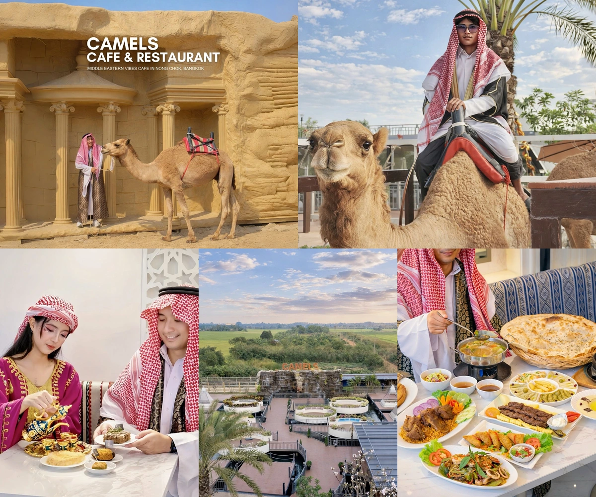 ภาพรีวิว Camels Cafe & Restaurant — คาเฟ่สไตล์ซาอุและกิจกรรมขี่อูฐ