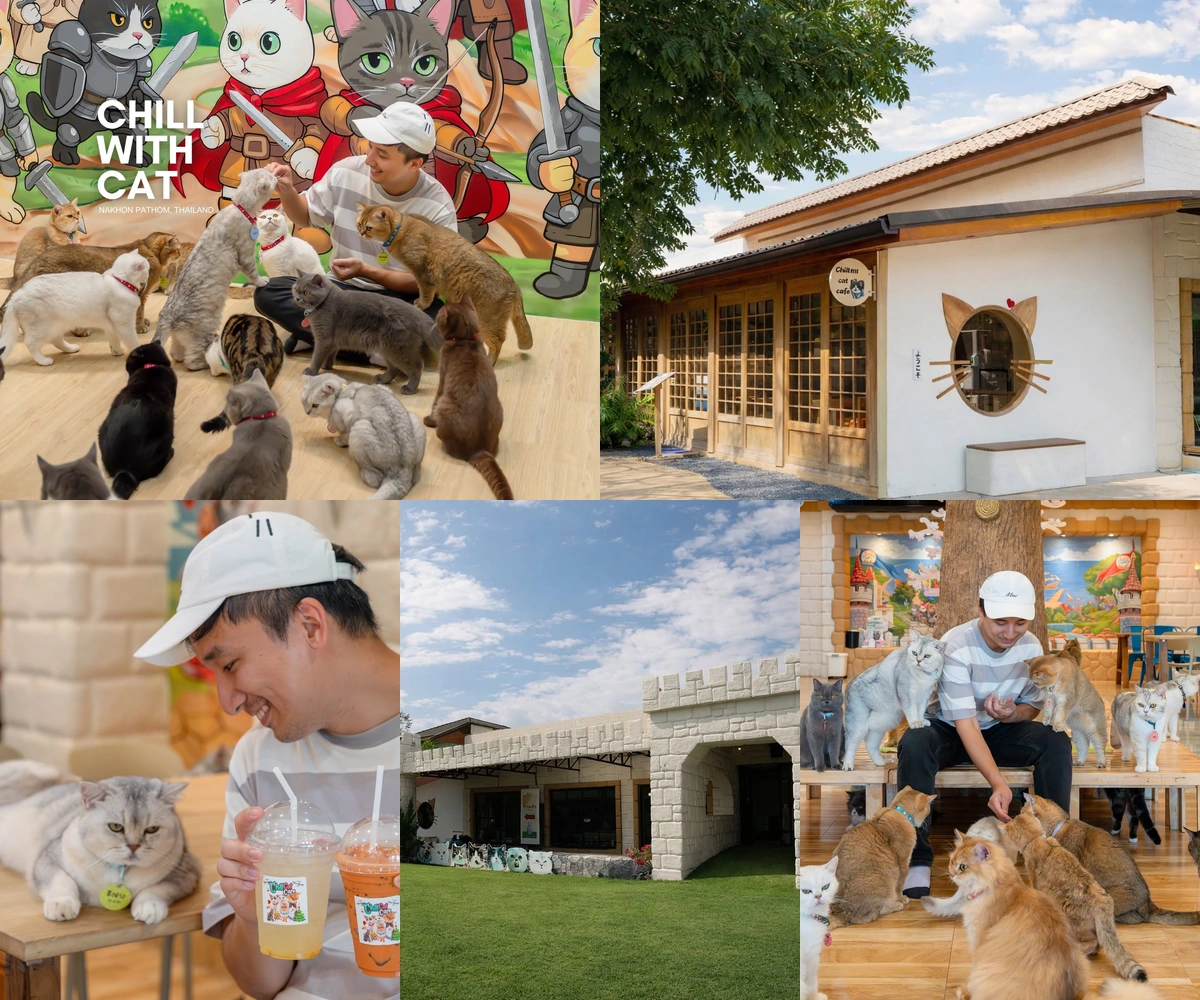 ภาพรีวิว Chill Cat Cafe — คาเฟ่ปราสาทแมวในนครปฐม