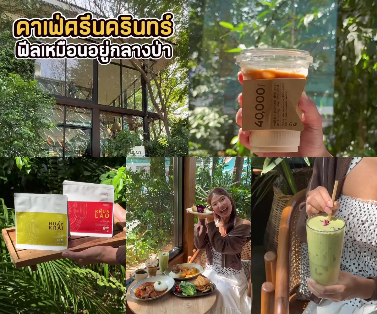 ภาพรีวิว MiVana Coffee Flagship Store — กาแฟออร์แกนิกในสวนศรีนครินทร์