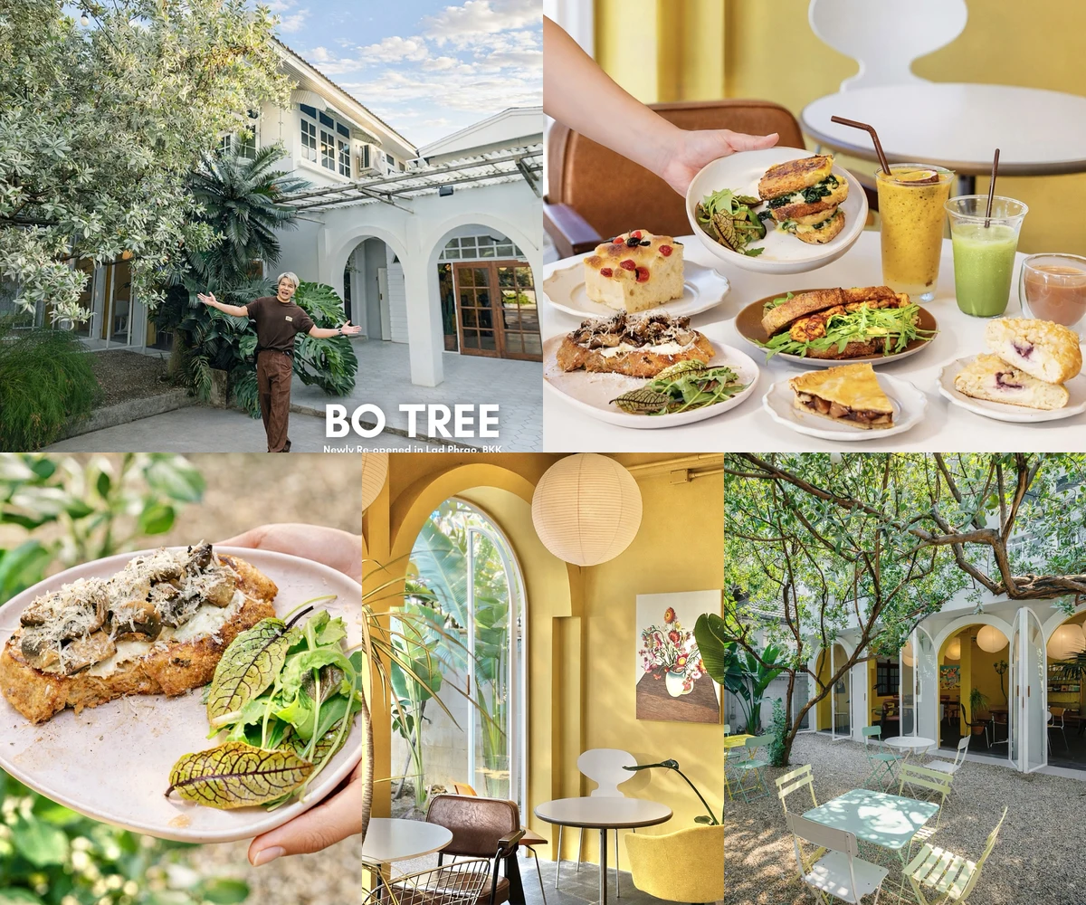 ภาพรีวิว BO TREE — คาเฟ่และเบเกอรี่ในซอยเสนานิคม