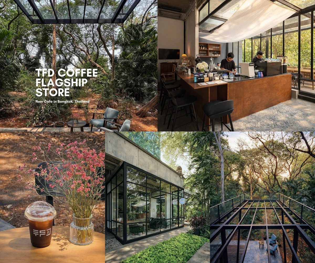 ภาพรีวิว TFD Coffee Flagship Store — คาเฟ่ร่มรื่นย่านงามวงศ์วาน