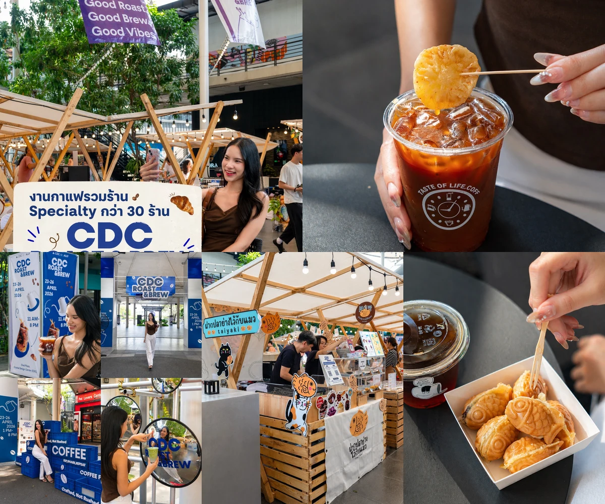ภาพรีวิว CDC Roast & Brew — งานรวมร้านกาแฟสเปเชียลตี้