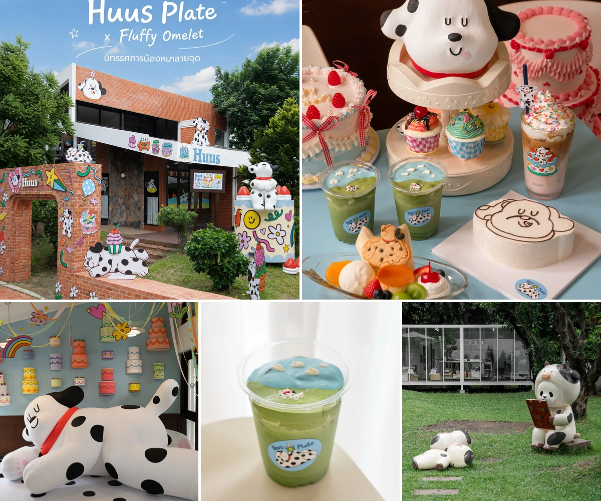 ภาพรีวิว Huus Plate × Fluffy Omelet — คาเฟ่ธีมน้องหมากับกิจกรรมแต่งเค้ก