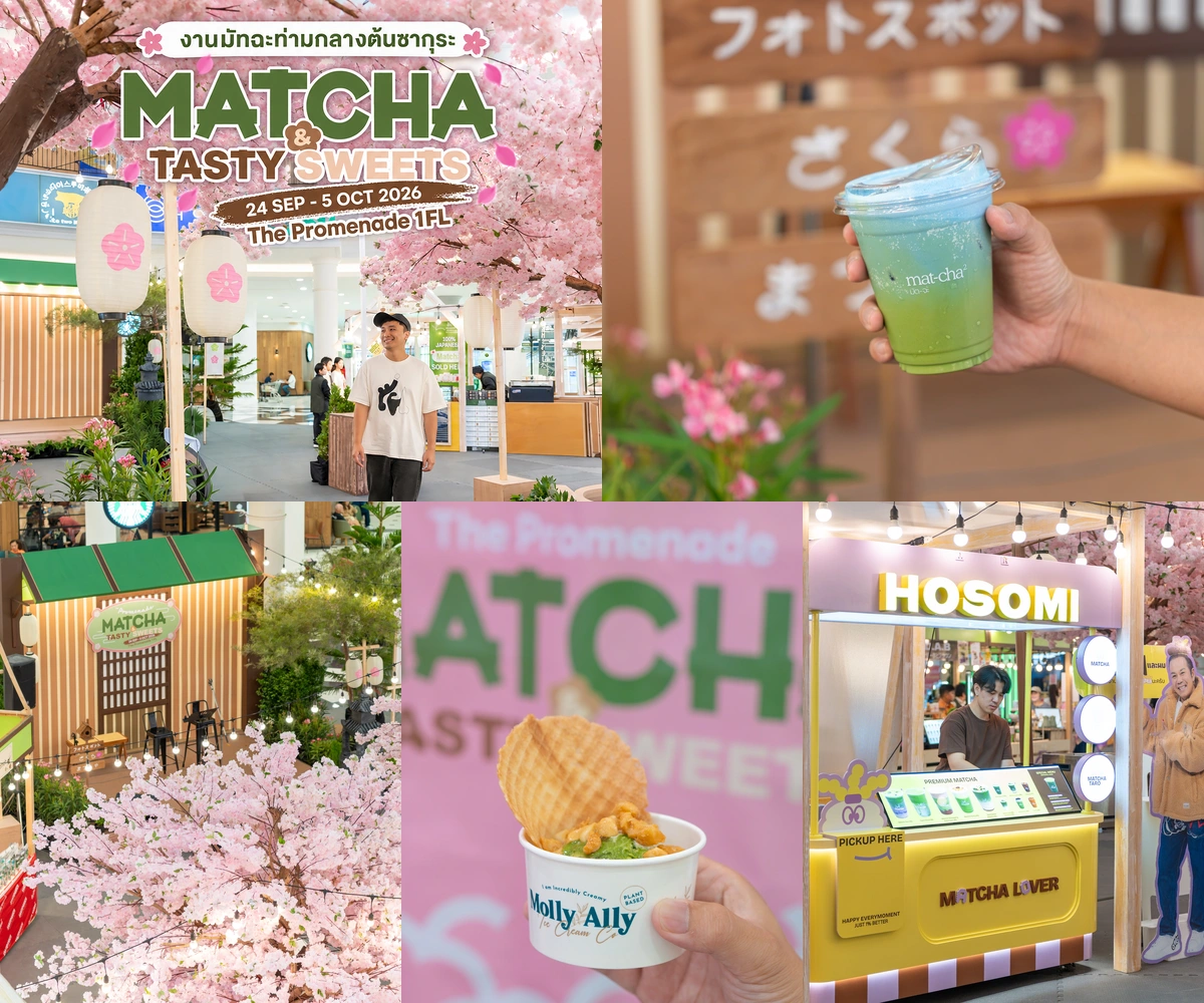 ภาพรีวิว The Promenade Matcha & Tasty Sweets — งานมัทฉะและขนมใต้ต้นซากุระ