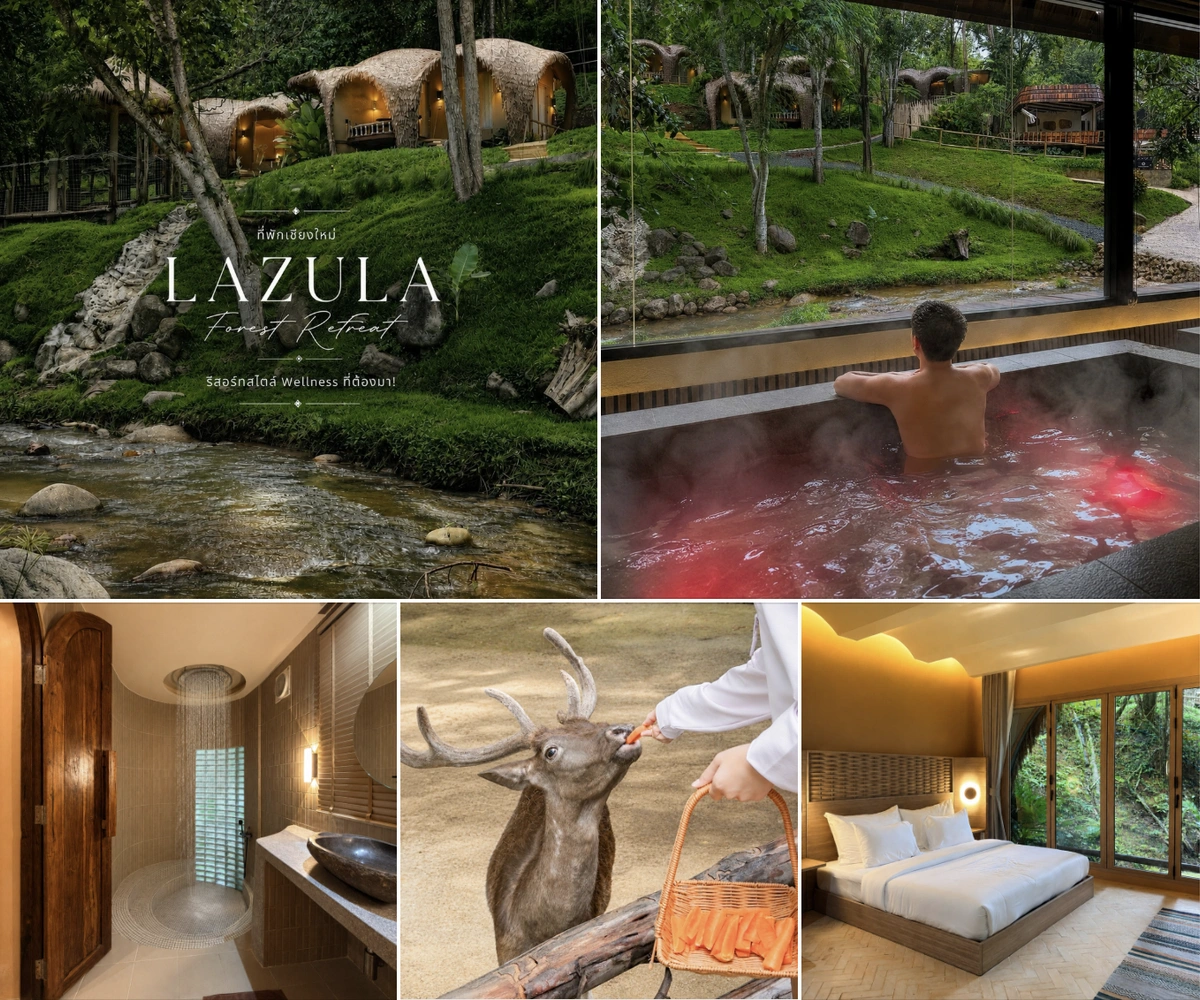 ภาพรีวิว LAZULA Forest Retreat