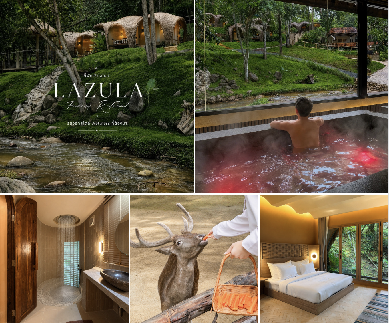 ภาพรีวิว LAZULA Forest Retreat — ที่พักเวลเนสกลางธรรมชาติแม่ออน