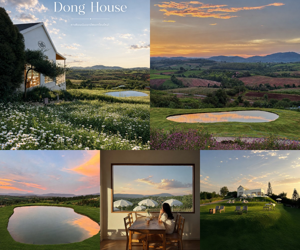 ภาพรีวิว Dong House Khaoyai — โฮมคาเฟ่บนเนินเขาพร้อมมุมบ่อน้ำใหม่
