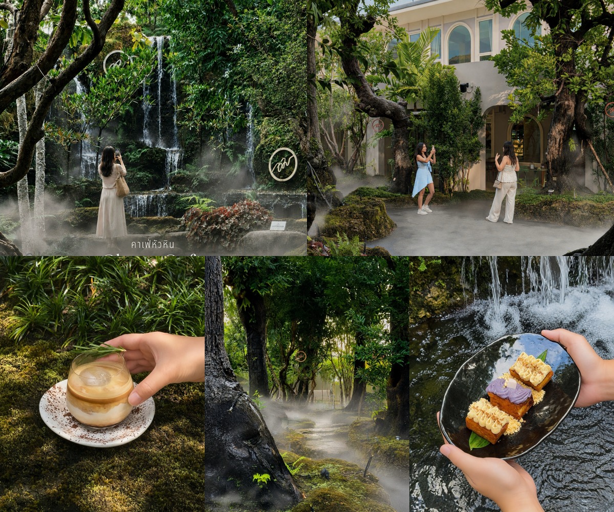 ภาพรีวิว Chom Cafe and Restaurant • หัวหิน — สวนป่าทรอปิคอลและเมนูล้านนารังสรรค์