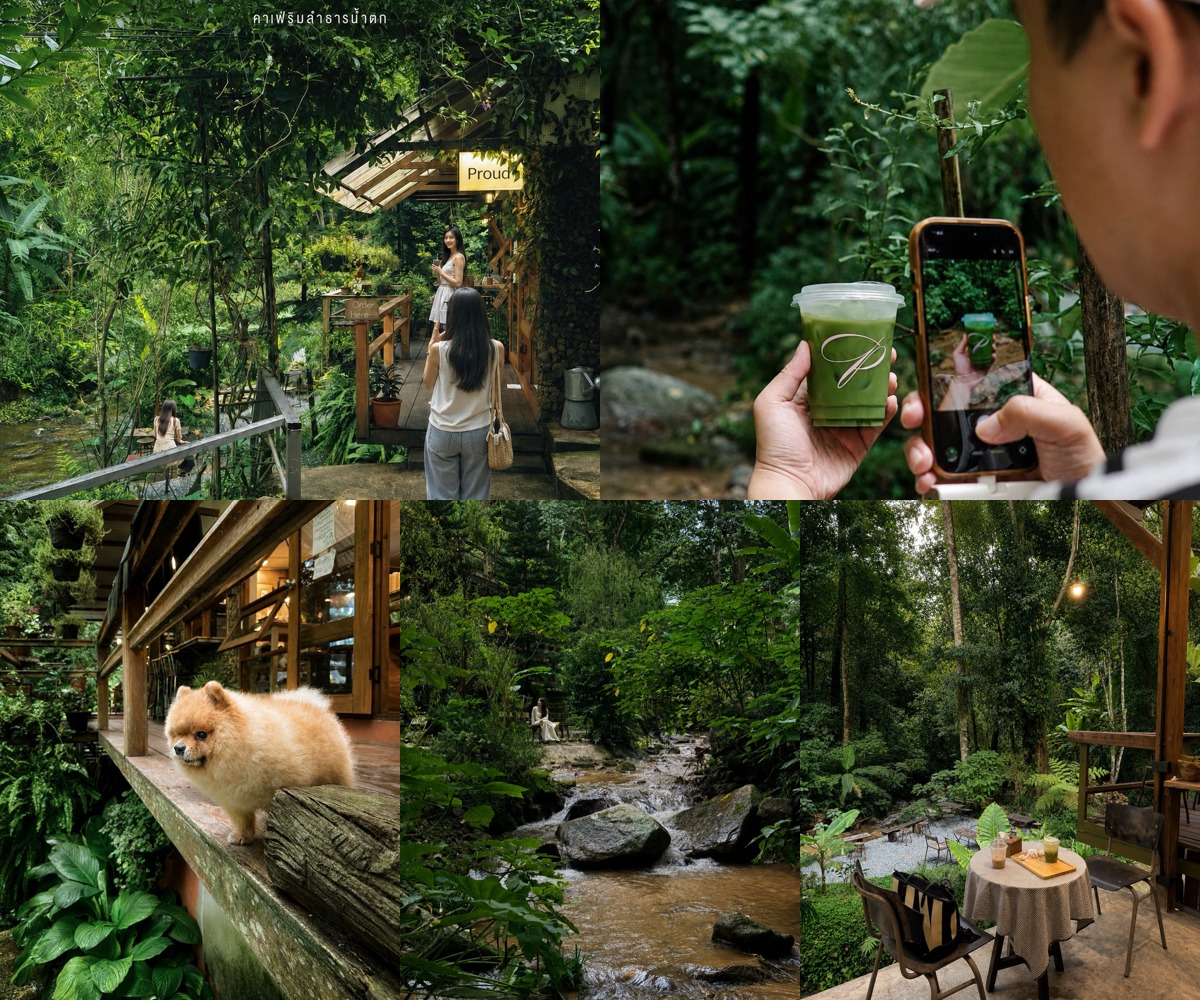 ภาพรีวิว Proudproudproud — คาเฟ่ริมลำธารท่ามกลางต้นไม้ที่แม่กำปอง